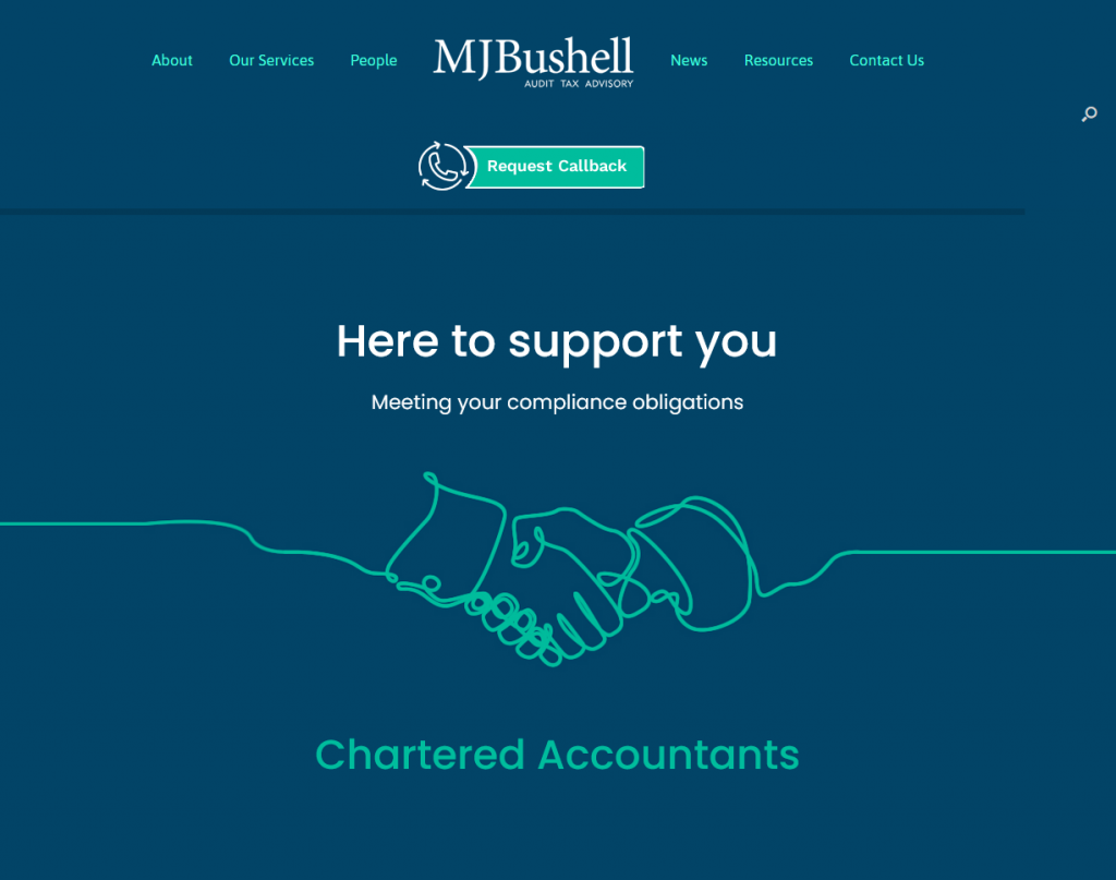 Accounting Website Example 9