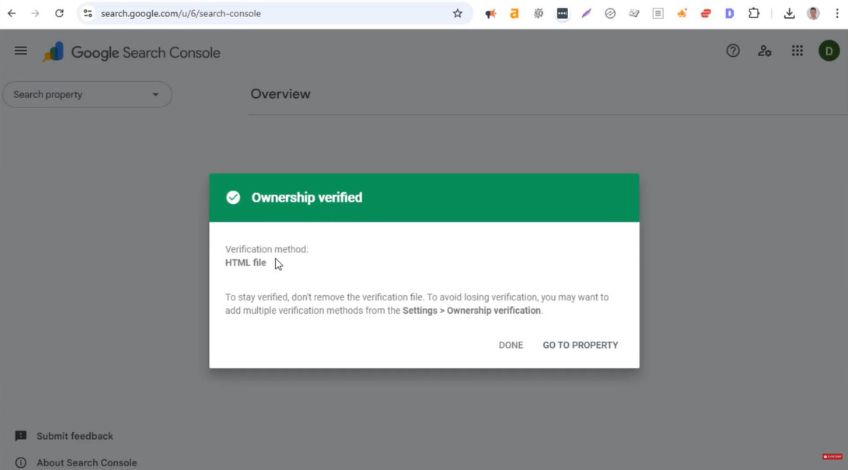 Step 6: Click Verify In Search Console